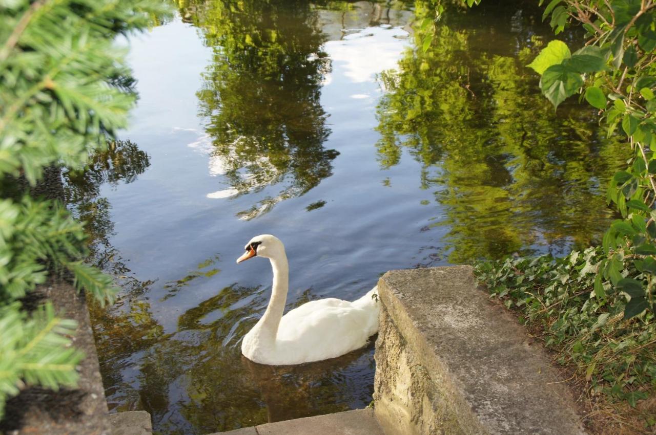 Ferienhaus Brenzblick Gundelfingen an der Donau Buitenkant foto